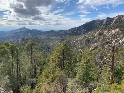 Mount Lemmon - Photo 3