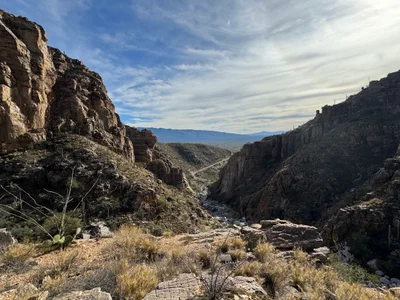 Mount Lemmon - Photo 4