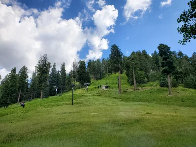 Mount Lemmon - Photo 5