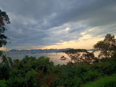 Avenida Rodesindo Pavan - Photo 5