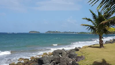 Dorado - Photo 2