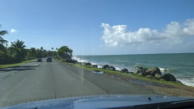 Dorado - Photo 3