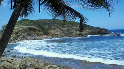 Dorado - Photo 5