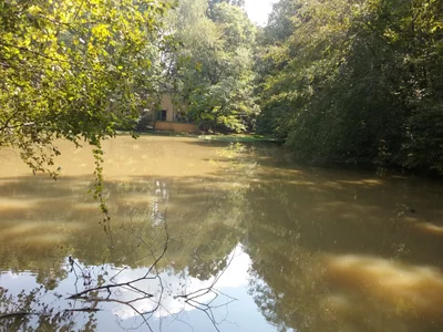 Lithia Springs - Photo 5