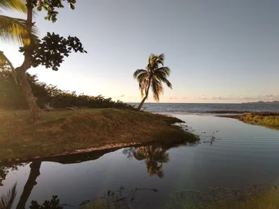 Mayagüez - Photo 5