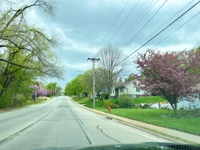 Moline - Photo 3