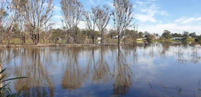 Gatton - Photo 3