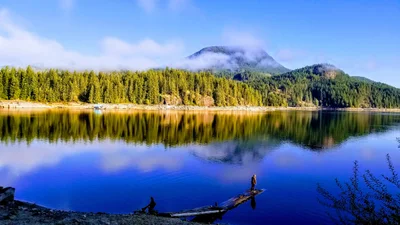 Area C (Lois Lake/Saltery Bay) - Photo 4