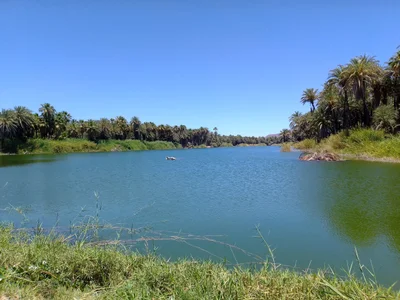 San Ignacio Lagoon - Photo 2