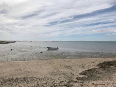 San Ignacio Lagoon - Photo 3