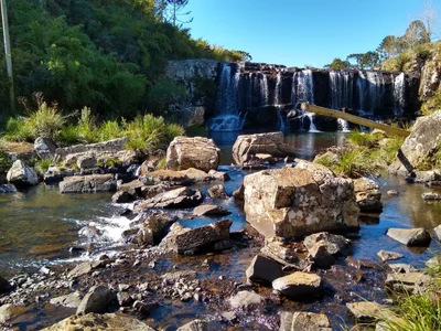 Bom Jardim da Serra - Photo 4