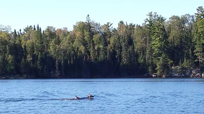 Kenora District - Photo 3
