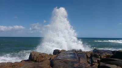 Laguna - Photo 3