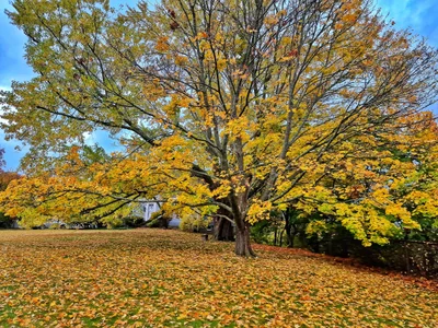 Woburn - Photo 2