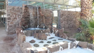 Termas Santa Teresita - Photo 5