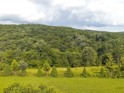 Coudersport - Photo 2