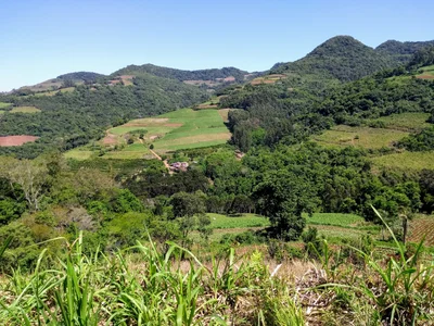 Santa Clara do Sul - Photo 2