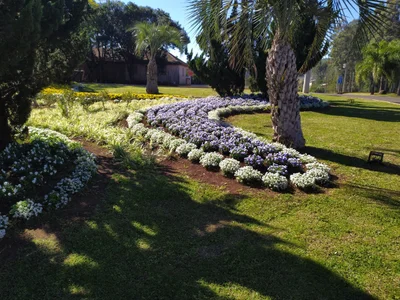 Santa Clara do Sul - Photo 4