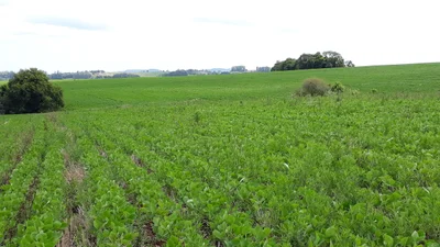 Cruzeiro do Sul - Photo 4