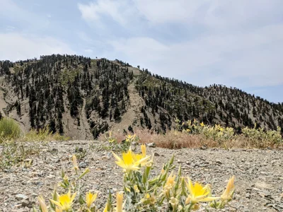 Mount Baldy - Photo 2