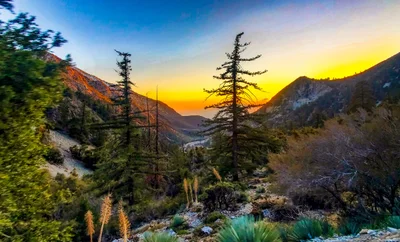 Mount Baldy - Photo 5