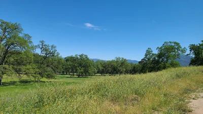 Oakhurst - Photo 5