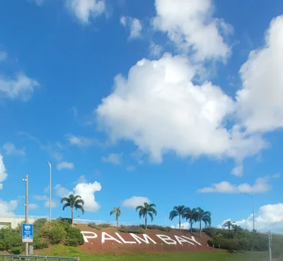 Palm Bay - Photo 5