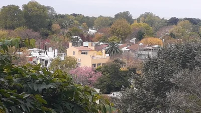 San Isidro - Photo 2