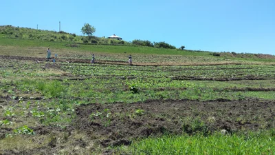 Vulamehlo Local Municipality - Photo 2