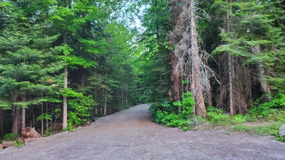 Highlands East - Photo 4