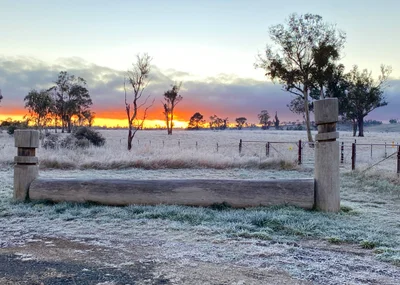 Walcha Council - Photo 2