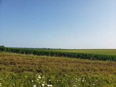 Dyersville - Photo 5