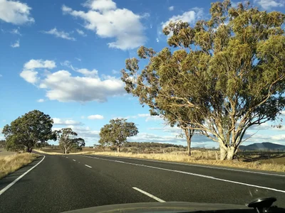 Liverpool Plains Shire Council - Photo 4