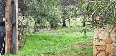 Clackline - Photo 3