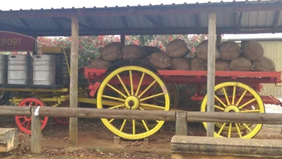 Gidgegannup - Photo 5