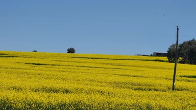 Shire Of York - Photo 3
