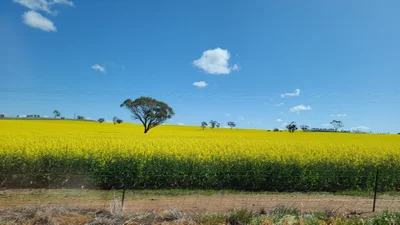 Shire Of York - Photo 4