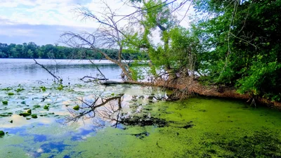 Prior Lake - Photo 3