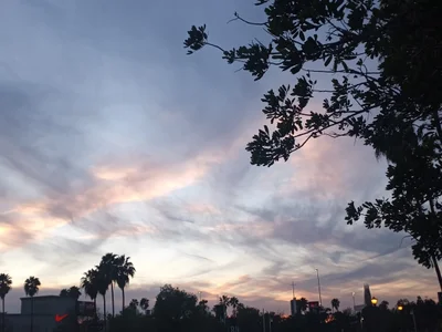 Garden Grove - Photo 2