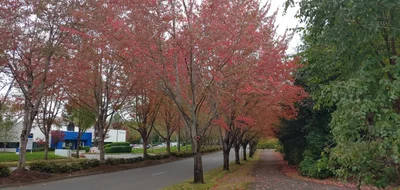 Bothell - Photo 5