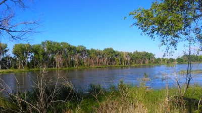 North Platte - Photo 5