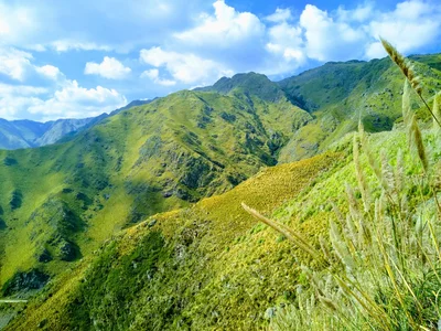 Municipio de Merlo - Photo 5