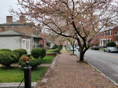 Shepherdstown - Photo 4