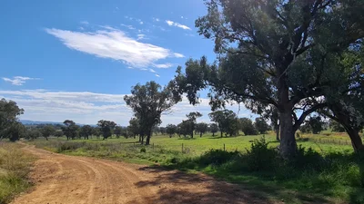 Dubbo Regional Council - Photo 3