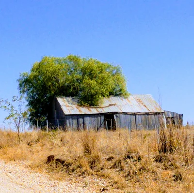 Cabonne Council - Photo 5
