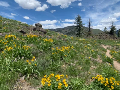 Ketchum - Photo 3