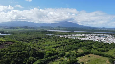 Humacao - Photo 5