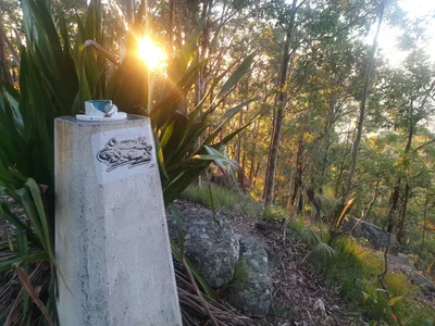 Mount Vincent - Photo 3