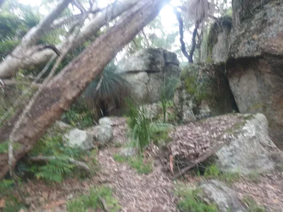Mount Vincent - Photo 4