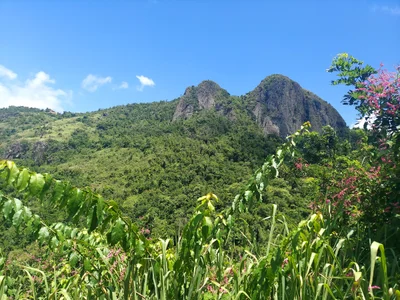 Cayey - Photo 5